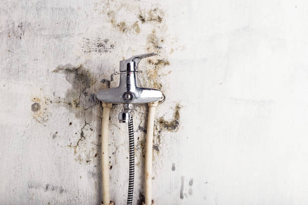Best Emergency Mold Removal  in Hopewell, VA