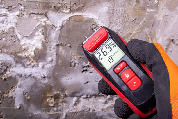 Best Home Mold Removal  in Hopewell, VA