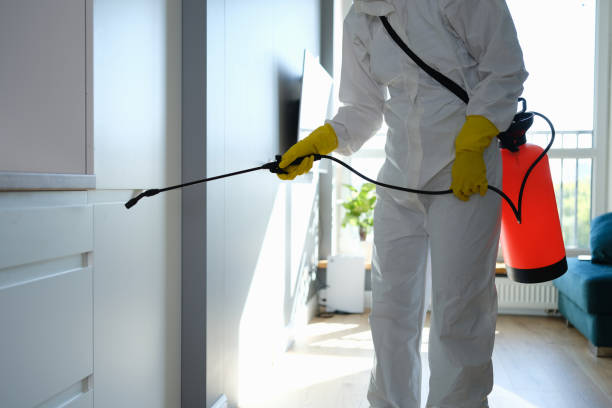 Best Affordable Mold Removal  in Hopewell, VA