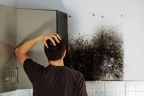 Best Office Mold Removal Services  in Hopewell, VA
